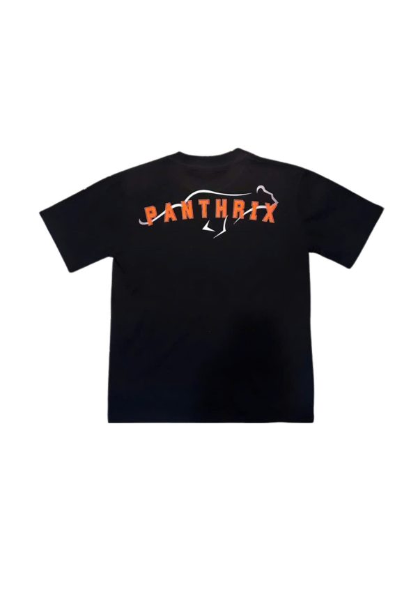 PANTHRIX – ÁO PHÔNG OVERSIZE COTTON BÁO CHẠY - Hình ảnh 2