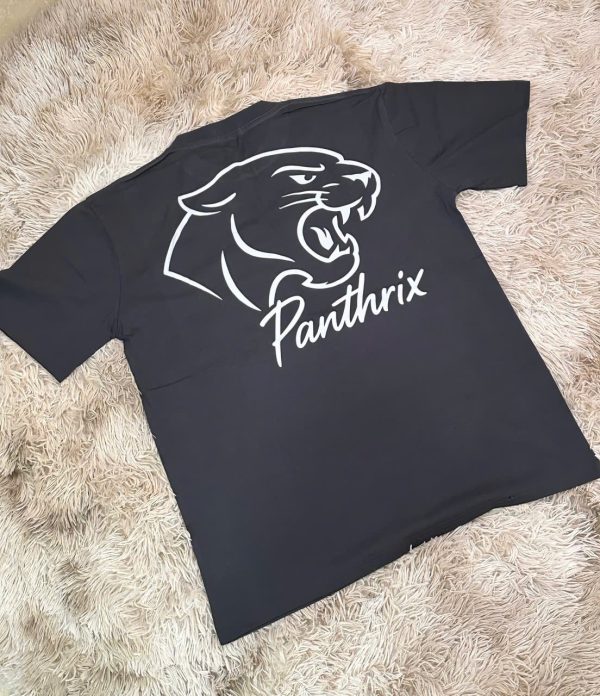 PANTHRIX – ÁO THUN OVERSIZE XÁM ĐEN LƯNG BÁO - Hình ảnh 2