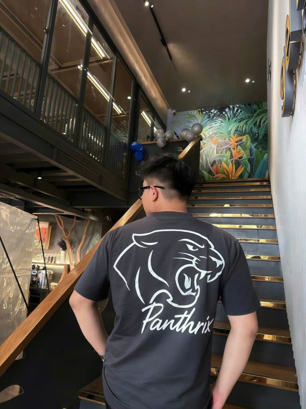 PANTHRIX – ÁO THUN OVERSIZE XÁM ĐEN LƯNG BÁO - Hình ảnh 5